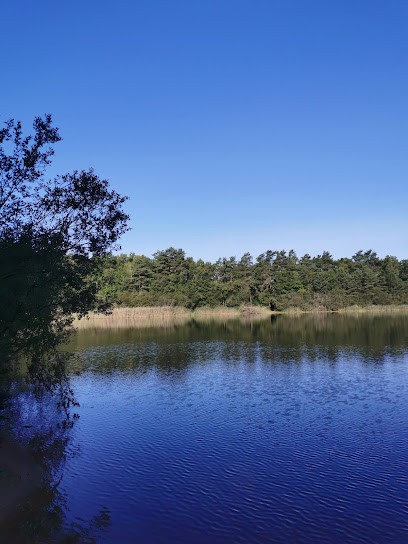 Base de loisirs Etang des bois, Centre de Loisirs à Vieilles-Maisons-sur-Joudry