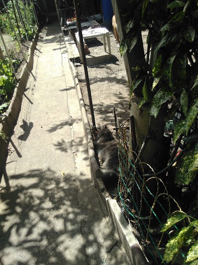 Club Nautique de Sevran, Centre de Loisirs à Sevran