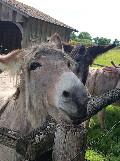 Little Couère, Centre de Loisirs à Bouillé-Ménard