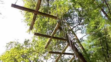 Parc Aventure Saint Antonin, Centre de Loisirs à Saint-Antonin-Noble-Val