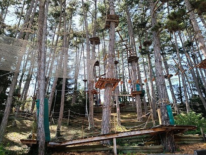Sisteron​ Aventure​s | Parc Aventure Alpes de Haute Provence | Accrobranche, Centre de Loisirs à Sisteron