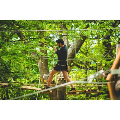 AccroCamp Saint-Germain-en-Laye | Accrobranche 78, Centre de Loisirs à Saint-Germain-en-Laye