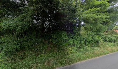 Les Fous'les Sortoises, Centre de Loisirs à Sort-en-Chalosse