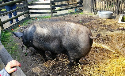 Educational Farm A.G.F., Centre de Loisirs à Rhinau