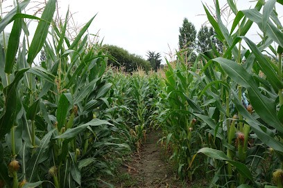 Pop Corn Labyrinthe, Centre de Loisirs à Sarzeau