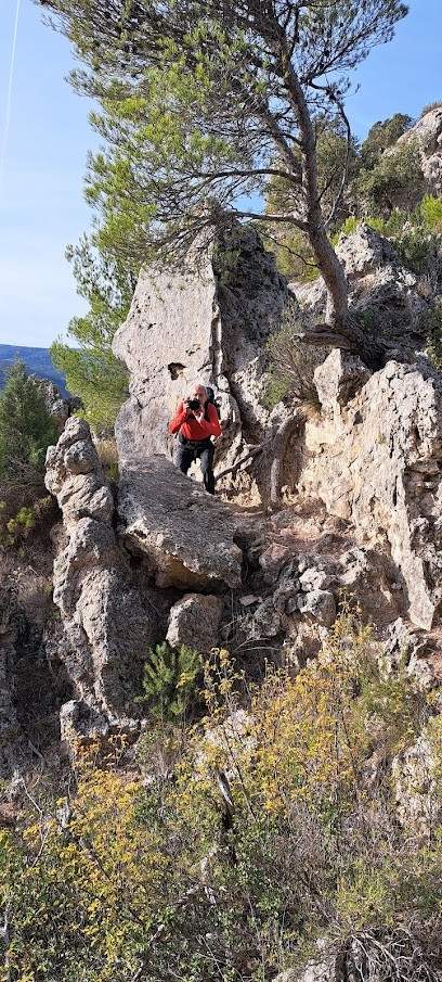 Amicale Laïque Foyer de Jeunes et d'Education Populaire, Centre de Loisirs au Pradet