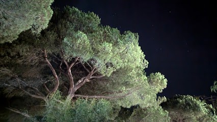 Centre de loisirs Grosbois, Centre de Loisirs à Yerres