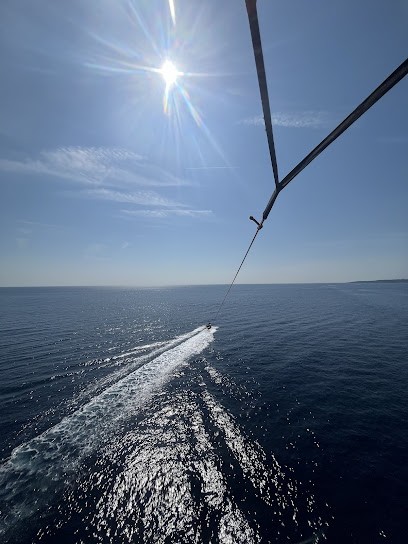 LES ELEPHANTS DE MER JET SKI, Centre de Loisirs à Sainte-Maxime