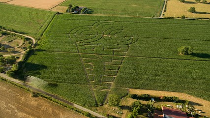 Labyrinthe de maïs de la Ferme des Délices Foréziens, Centre de Loisirs à Saint-Cyr-les-Vignes