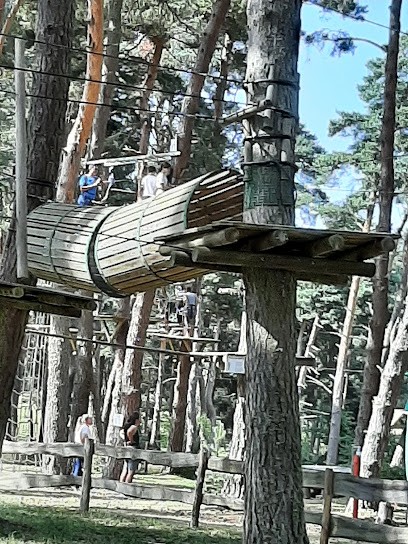 Margeride Aventure, Centre de Loisirs à Ruynes-en-Margeride