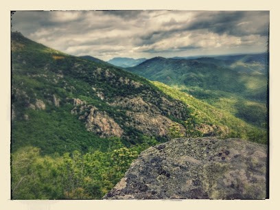 Aigoual Pleine Nature, Centre de Loisirs à Saint-Laurent-le-Minier
