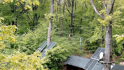 PERCHING ADVENTURE, Centre de Loisirs à Verzy