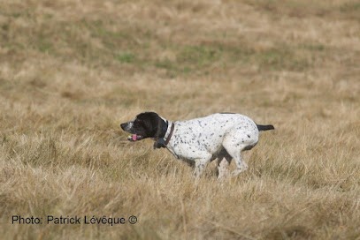 Picardie Chasse du Campreux Somme et Oise, Centre de Loisirs à Thoix