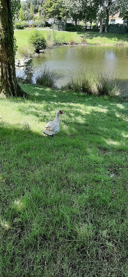 Soc Cercle St Joseph Buvette, Centre de Loisirs à Beaupréau-en-Mauges