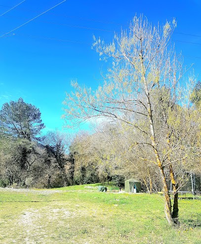 Association d' Entraide et de Loisirs L' ETOILE FILANTE , Centre de Loisirs à Pourcieux
