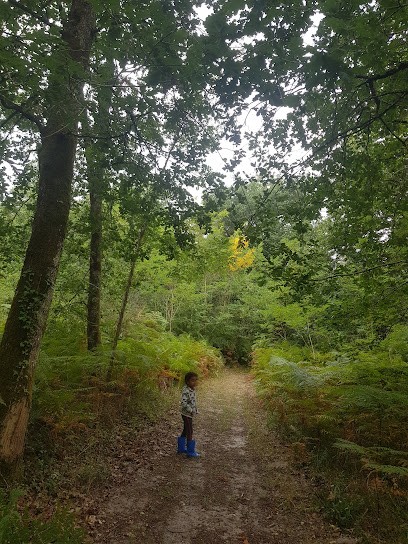 Centre De Loisirs LA GAROSSE, Centre de Loisirs à Saint-Sauveur