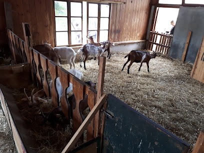 Club De Loisirs Et D’Actions De La Jeunesse, Centre de Loisirs à Rochejean