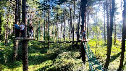 Tree & Adventure, Centre de Loisirs à Quend