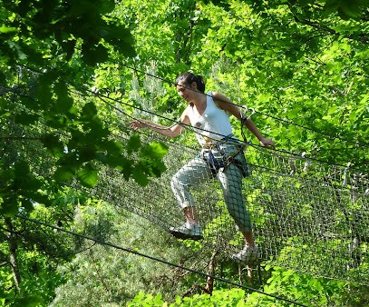 Call Tree Forest Adventure Course Dordogne, Centre de Loisirs à Thenon