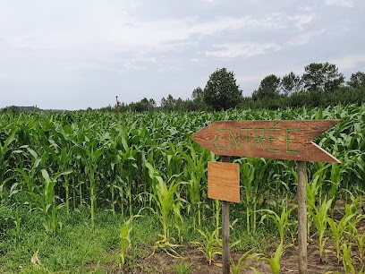 Lanès Aventures, Centre de Loisirs à Saint-Julien-en-Born
