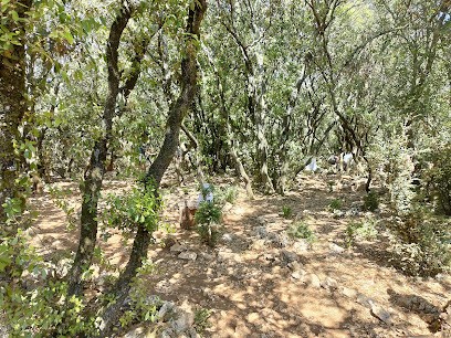 Forest Games, Centre de Loisirs à Saint-Remèze