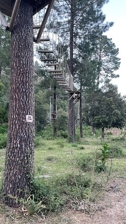 G-Aventura - Accrobranche, Centre de Loisirs à Solaro