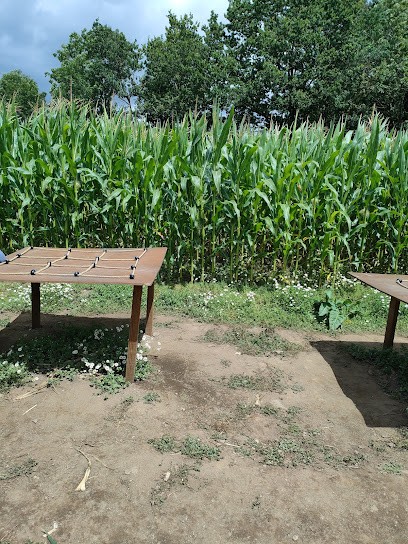 Pop Corn Labyrinthe PRADES - Labyrinthe Géant de Maïs, Centre de Loisirs à Prades-Salars