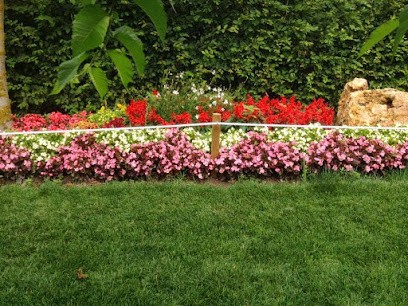 Odyssey of the berry, Centre de Loisirs à Vornay