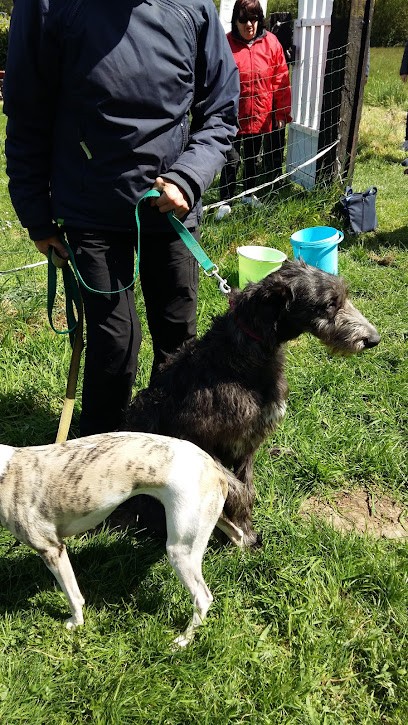 Cynodrome Du Roualou, Centre de Loisirs à Pleyber-Christ