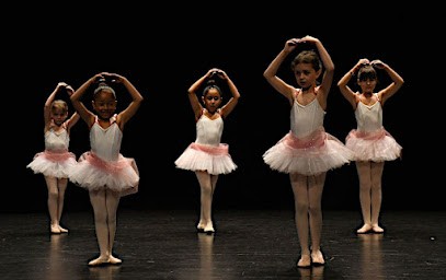Association Du Foyer Culturel, Centre de Loisirs à Sarreguemines