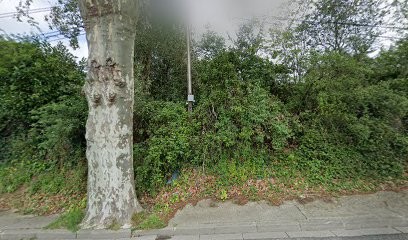 Ace Francs Et Franches C, Centre de Loisirs à Villefranche-de-Lauragais