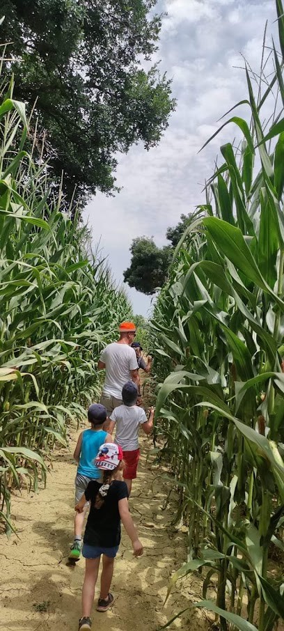 Labyrinthe De Samatan, Centre de Loisirs à Samatan