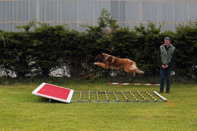 Cercle Cynophile Sportif De Plouvien, Centre de Loisirs à Plouvien