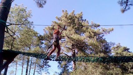 A Tyroliana Parc MultiActivités § Restaurant, Centre de Loisirs à Zonza