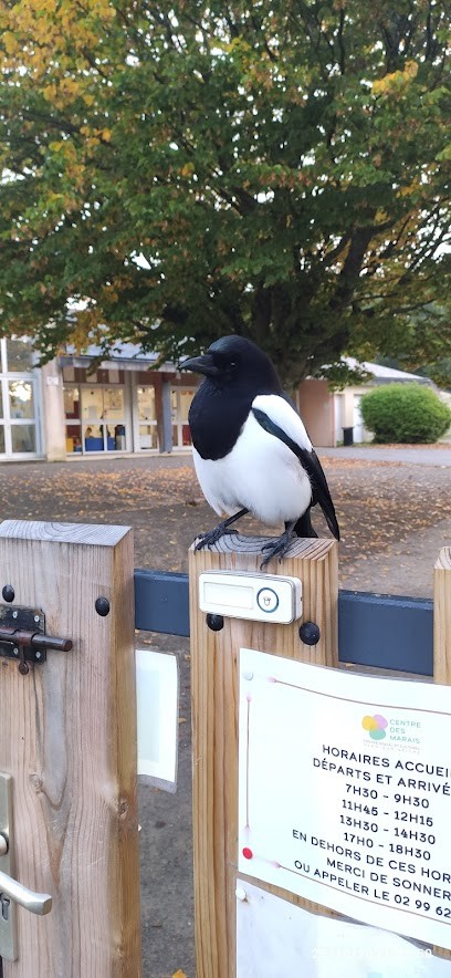 L'île aux enfants, Centre de Loisirs à Vern-sur-Seiche
