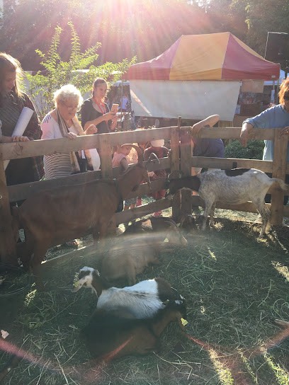 Stade Laurentin Section Judo, Centre de Loisirs à Saint-Laurent-du-Var