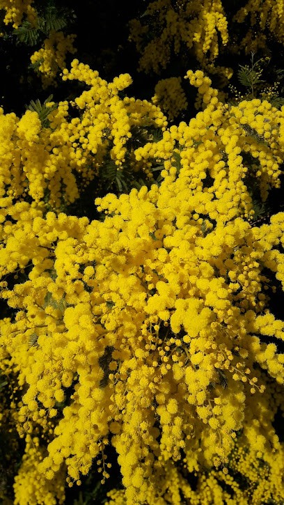 Centre De Loisirs De Vernon, Centre de Loisirs à Vernon