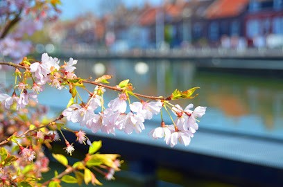 Centre De Loisirs De Ribécourt, Centre de Loisirs à Ribécourt-Dreslincourt